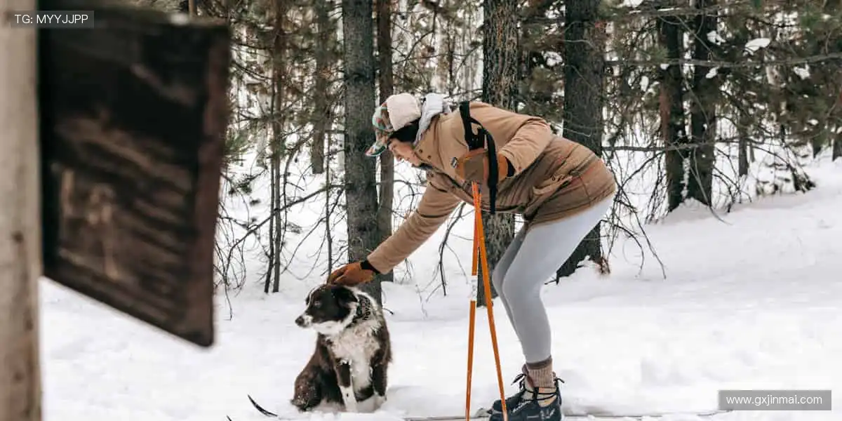 高清直播，细节尽收眼底！📡